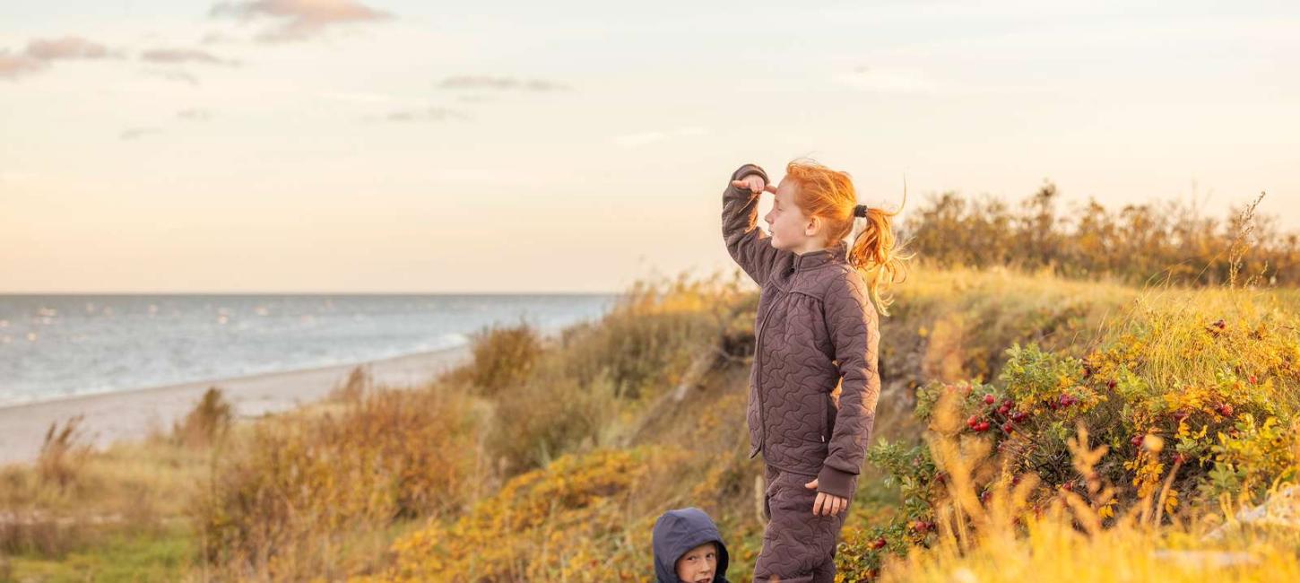 Piger der kigger ud over havet