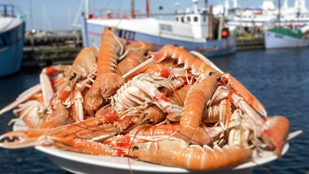 Jomfruhummerfestival