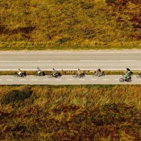 Gruppe der cykler i Skagen