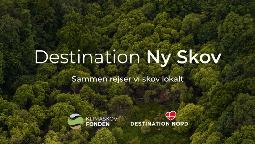 Destination Ny Skov