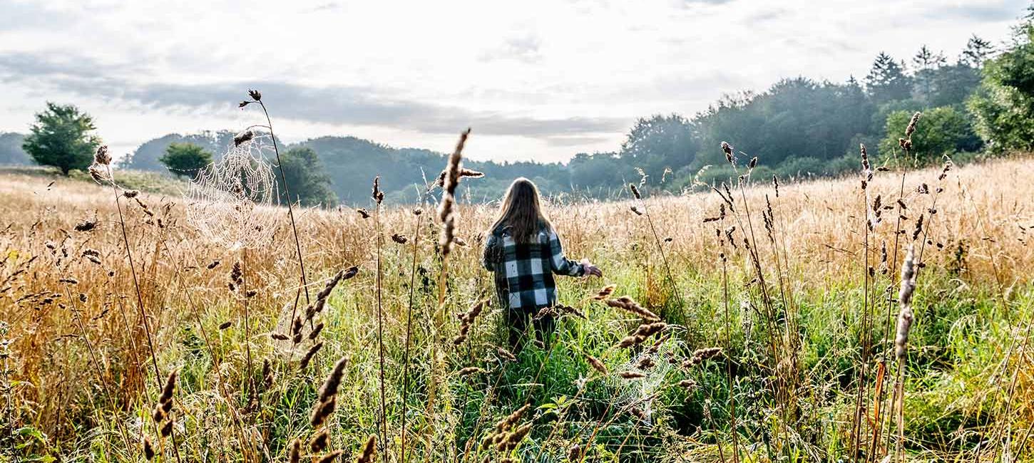 Jyske Ås i Nordjylland