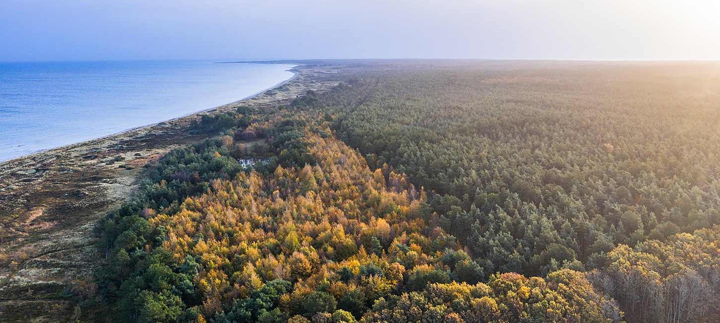 Skov og kyst på Læsø