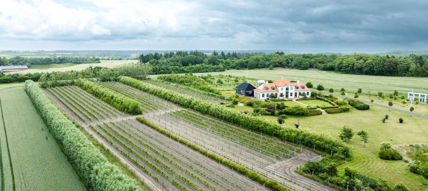 Nygårdsminde Vingård