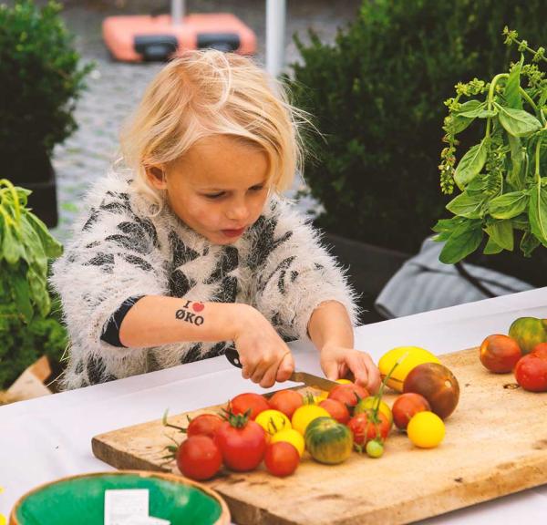 Nordjysk Madfesitval i Aalborg